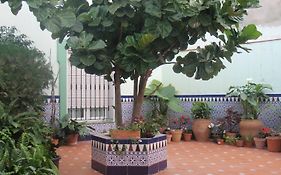 Hostal Drago